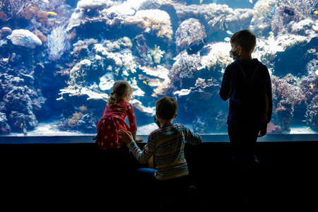 Two kids boys and toddler girl visiting together zoo aquarium. Three children watching fishes and jellyfishes. School boys wearing medicals masks due pandemic corona virus time. Family on staycationの写真素材
