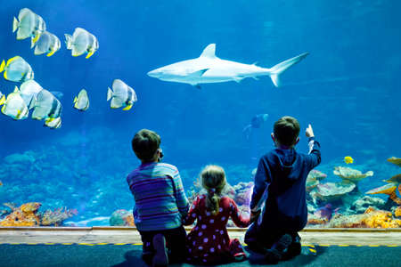 Two kids boys and toddler girl visiting together zoo aquarium. Three children watching fishes and jellyfishes. School boys wearing medicals masks due pandemic corona virus time. Family on staycationの写真素材