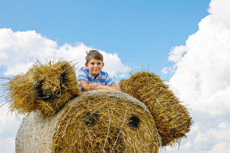 Little school kid boy having fun on hay stack or bale. Funny happy healthy child playing with straw....