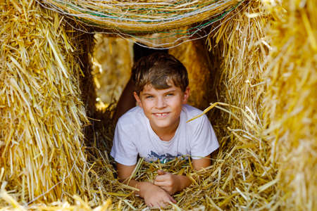 Little school kid boy having fun on hay stack or bale. Funny happy healthy child playing with straw. Active outdoors leisure with children on warm summer day.の写真素材