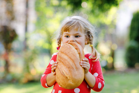 Little toddler girl holding big loaf of bread. Funny happy child biting and eating healthy bread,...