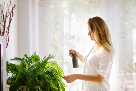 Portrait of a beautiful young brunette woman with a braid, spraying, watering her plant on a...