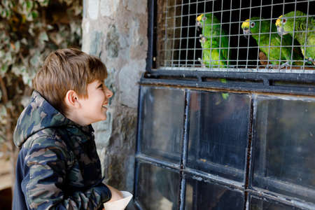 Gorgeous school kid boy feeding parrots in zoological garden. Child playing and feed trusting friendly birds in zoo and wildlife park. Children learning about wildlife and parrot.の写真素材