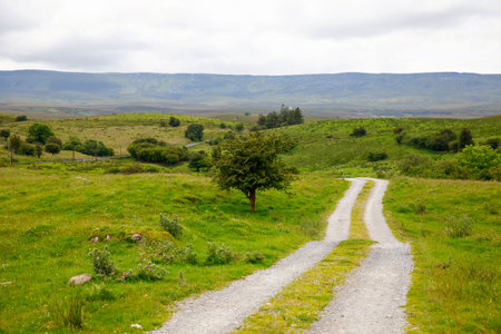 Ireland landscape. Magical Irish hills. Green island with sheep and cows on cloudy foggy day. Northern Ireland, County Donegalの写真素材