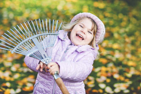 Little toddler girl working with rake in autumn garden or park. Adorable happy healthy child having fun with helping of fallen leaves from trees. Cute helper outdoors. child learning help parentsの写真素材