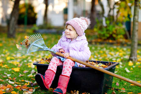 Little toddler girl working with rake in autumn garden or park. Adorable happy healthy child having fun with helping of fallen leaves from trees. Cute helper outdoors. child learning help parentsの写真素材