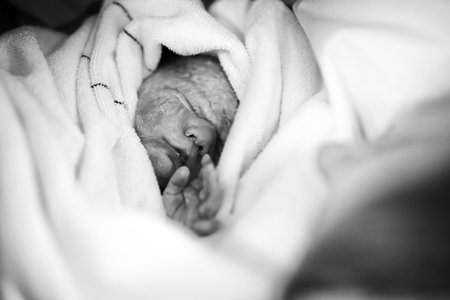 Newborn baby being born via Caesarean Section. Mother looking for the first time on new born daughter. Newborn child seconds and minutes after birth. Happy mum cryingの写真素材