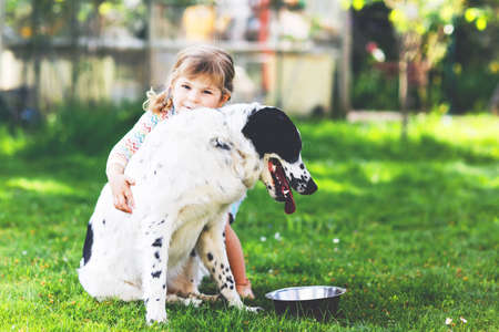 Cute little toddler girl playing with family dog in garden. Happy smiling child having fun with dog, hugging playing with ball. Happy family outdoors. Friendship between animal and kidsの写真素材