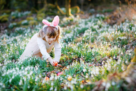 Little girl with Easter bunny ears making egg hunt in spring forest on sunny day, outdoors. Cute happy child with lots of snowdrop flowers and colored eggs. Springtime, christian holiday concept.の写真素材