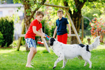 Two kids boys playing with family dog in garden. Laughing children, adorable siblings having fun with dog, with running and playing with ball. Happy family outdoors. Friendship between animal and kidsの写真素材