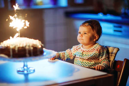 Cute beautiful little baby girl celebrating first birthday. Child blowing one candle on homemade baked cake, indoor. Birthday family party for lovely toddler child, beautiful daughterの写真素材