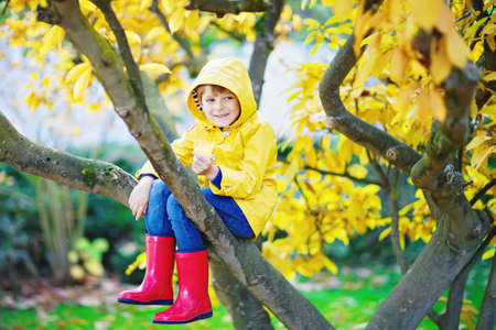Cute little kid boy enjoying climbing on tree on autumn day. Preschool child in colorful autumnal clothes learning to climb, having fun in garden or park on warm sunny dayの写真素材