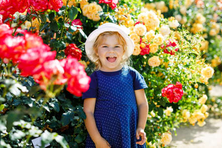 Portrait of little toddler girl in blossoming rose garden. Cute beautiful lovely child having fun with roses and flowers in a park on summer sunny day. Happy smiling baby.の写真素材
