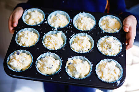 Overhead view of a baking tray with freshly prepared plain blueberry muffins holding by a childの写真素材