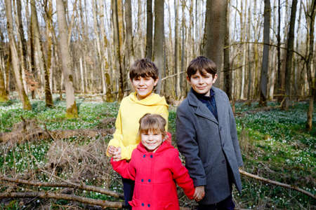 Cute little girl and two kid boys with first spring flowers snowflakes on sunny day in forest, outdoors. Three children with floor covered with leucojum vernum spring flowers. Beautiful family walk.の写真素材