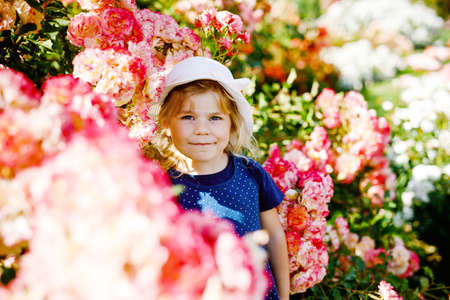 Portrait of little toddler girl in blossoming rose garden. Cute beautiful lovely child having fun with roses and flowers in a park on summer sunny day. Happy smiling baby.の写真素材