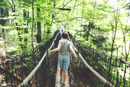 Preteen kid boy walking on high tree-canopy trail with wooden walkway and ropeways on Hoherodskopf...