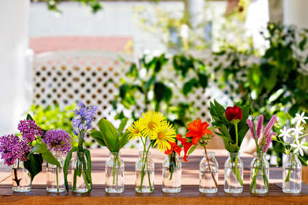 Variation or group of garden flowers in small vases or bottles. Colorful flower arrangement or decoration in rainbow colors. Home or garden, terrace decor concept.の写真素材