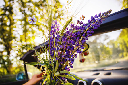 Closeup of driving in cabriolet car on sunny summer day. Couple traveling or having romantic date in...