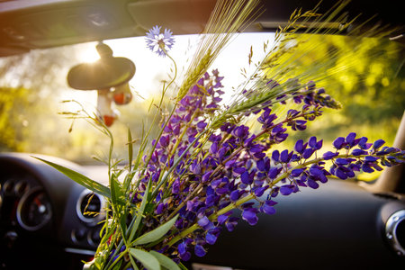 Closeup of driving in cabriolet car on sunny summer day. Couple traveling or having romantic date in cabrio. Woman holding lupines flowers bunch. Sunset, happiness, freedom.の写真素材