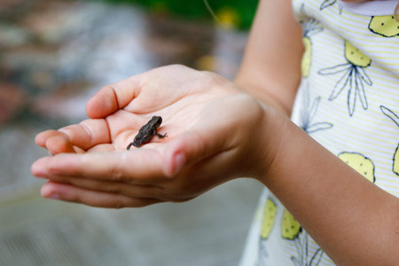 Little preschool girl holding small wild frog. Happy curious child watching and exploring animals in...