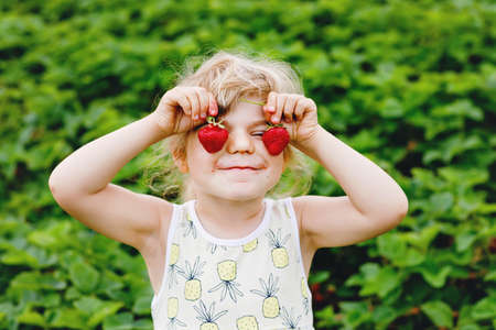 Happy little preschool girl picking and eating healthy strawberries on organic berry farm in summer, on sunny day. Child having fun with helping. Kid on strawberry plantation field, ripe red berries.の写真素材