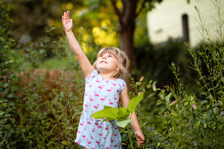 Little preschool girl planting seedlings of sunflowers in domestic garden. Toddler child learn...