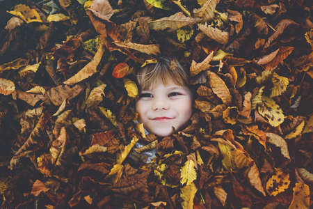Fall portrait of little toddler girl in autumn park on warm october day with oak and maple leaf. Child lie in lot of leaves. Family outdoor fun in fall. Kid smiling. Healthy baby girlの写真素材