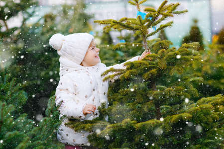 Adorable little toddler girl holding Christmas tree on market. Happy healthy baby child in winter fashion clothes choosing and buying big Xmas tree in outdoor shop. Family, tradition, celebration.の写真素材