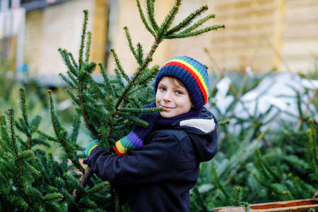 Adorable little smiling kid boy holding Christmas tree on market. Happy healthy child in winter fashion clothes choosing and buying big Xmas tree in outdoor shop. Family, tradition, celebration.の写真素材