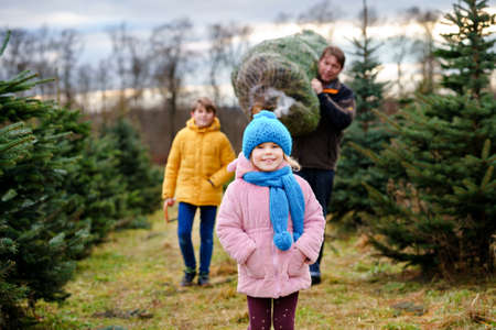 Happy family, man and two children with Christmas tree on fir tree cutting plantation. Preschool girl, kid boy and father choosing, cut and felling own xmas tree in forest, family tradition in Germanyの写真素材
