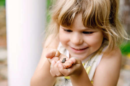 Little preschool girl holding small wild frog. Happy curious child watching and exploring animals in nature.の写真素材