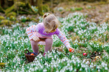 Little girl in pink dress making egg hunt in spring forest on sunny day, outdoors. Cute happy child with lots of snowdrop flowers and colored eggs. Springtime, christian holiday concept.の写真素材