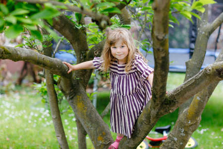 Little preschool girl climbing on tree on family backyard. Lovely happy toddler child hanging on magnolia tree, active games with children outdoors. Outdoor activity in park or gardenの写真素材