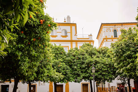 SEVILLE, SPAIN - 18 March, 2022: Decorative balconies and windows with gates of old city center house in Seville, Spain. Orange trees on the streets.のeditorial素材