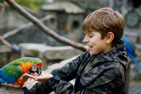 Gorgeous school kid boy feeding parrots in zoological garden. Child playing and feed trusting friendly birds in zoo and wildlife park. Children learning about wildlife and parrot.の写真素材