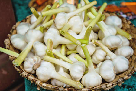 White garlic. Fresh garlic on market table closeup photo. Vitamin healthy food spice image. Spicy cooking ingredient picture. Pile of white garlic headsの写真素材