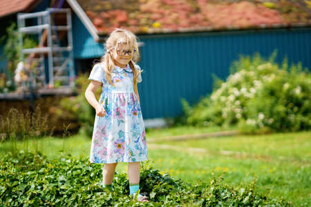 Portrait of happy smiling toddler girl in blue clothes outdoors. Little child with blond hairs looking and smiling at the camera. Happy healthy child enjoy outdoor activity and playing.の写真素材