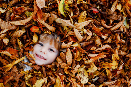 Fall portrait of little toddler girl in autumn park on warm october day with oak and maple leaf....