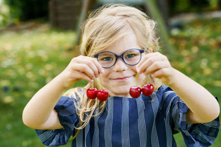 Little preschool girl picking and eating ripe cherries from tree in garden. Happy child with glasses holding fresh fruits. Healthy organic berry cherry summer harvest season. With cherry as earringsの写真素材