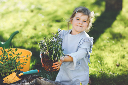 Adorable little toddler girl holding garden shovel with green plants seedling in hands. Cute child learn gardening, planting and cultivating vegetables herbs in domestic garden. Ecology, organic food.の写真素材