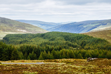 Idyllic view in Glendalough Valley, County Wicklow, Ireland. Mountains, lake and tourists walking pathsの写真素材