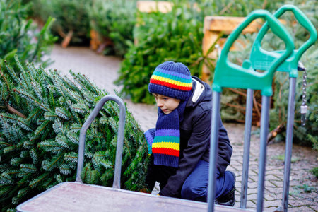 Adorable little smiling kid boy holding Christmas tree on market. Happy healthy child in winter fashion clothes choosing and buying big Xmas tree in outdoor shop. Family, tradition, celebration.の写真素材