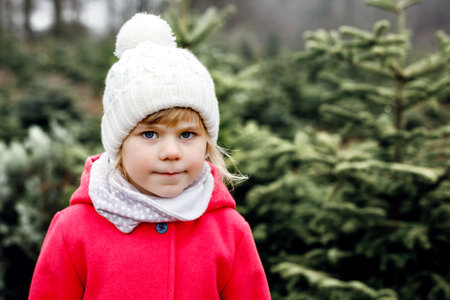 Adorable little toddler girl with Christmas tree on fir tree cutting plantation . Happy child in winter fashion clothes choosing, cut and felling own xmas tree in forest, family tradition in Germanyの写真素材