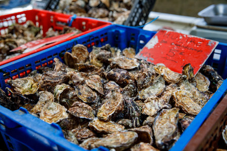 Vibrant farmer market scene in Normandy featuring fresh oysters on ice beds, capturing the region's coastal charm and culinary traditionsの写真素材