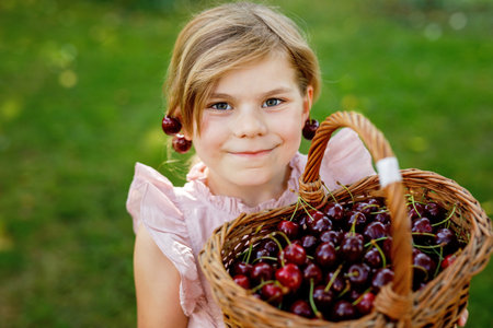 Beautiful girl in the garden. Happy girl with cherries. Preschol child with basket full of ripe berries and fun cherry earrings.の写真素材