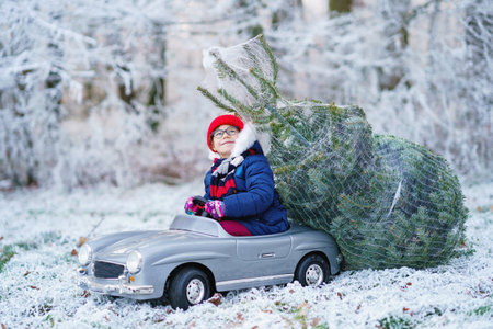 Happy little smiling girl driving toy car with Christmas tree. Funny preschool child in winter clothes bringing hewed xmas tree from snowy forest. Family, tradition, holiday.の写真素材