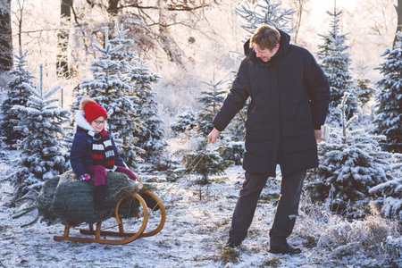 Happy little girl and dad pushing Christmas tree on sleigh. Preschool child with father, young man...