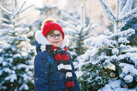 Small girl playing with snow. Happy preschool child in winter forest on snowy cold december day.の写真素材