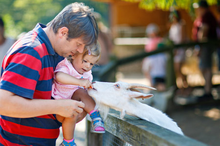 Adorable cute toddler girl and young father feeding little goats and sheeps on a kids farm. Beautiful baby child petting animals in petting zoo. man and daughter together on family weekend vacations.の写真素材